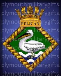 HMS Pelican Magnet